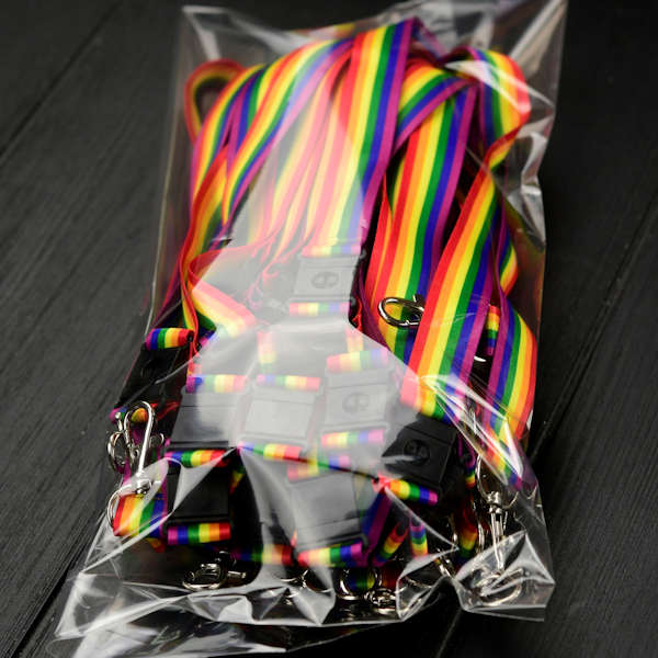 Sateenkaari Avainnauha 20mm papukaijaklipsillä ja turvalukolla sateenkaariväreissä